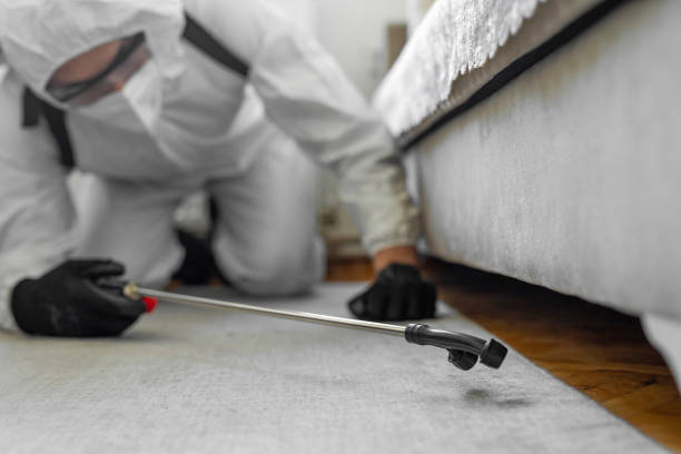 Professional Cockroach Control technician working in Preston Heights, IL